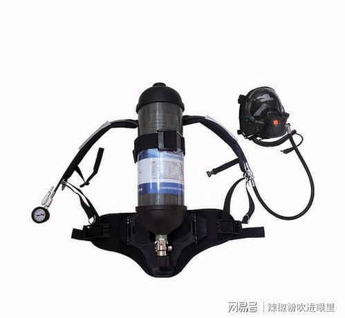 又一起 四川一食品厂6人硫化氢中毒而亡,硫化氢到底有多毒